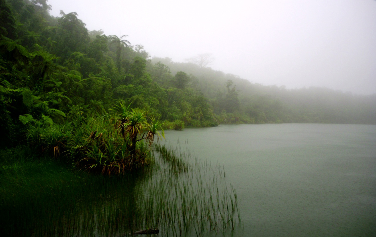 Trekking Lake Lanoto’o: A Complete Guide to Samoa’s Volcanic Crater Lake Hike