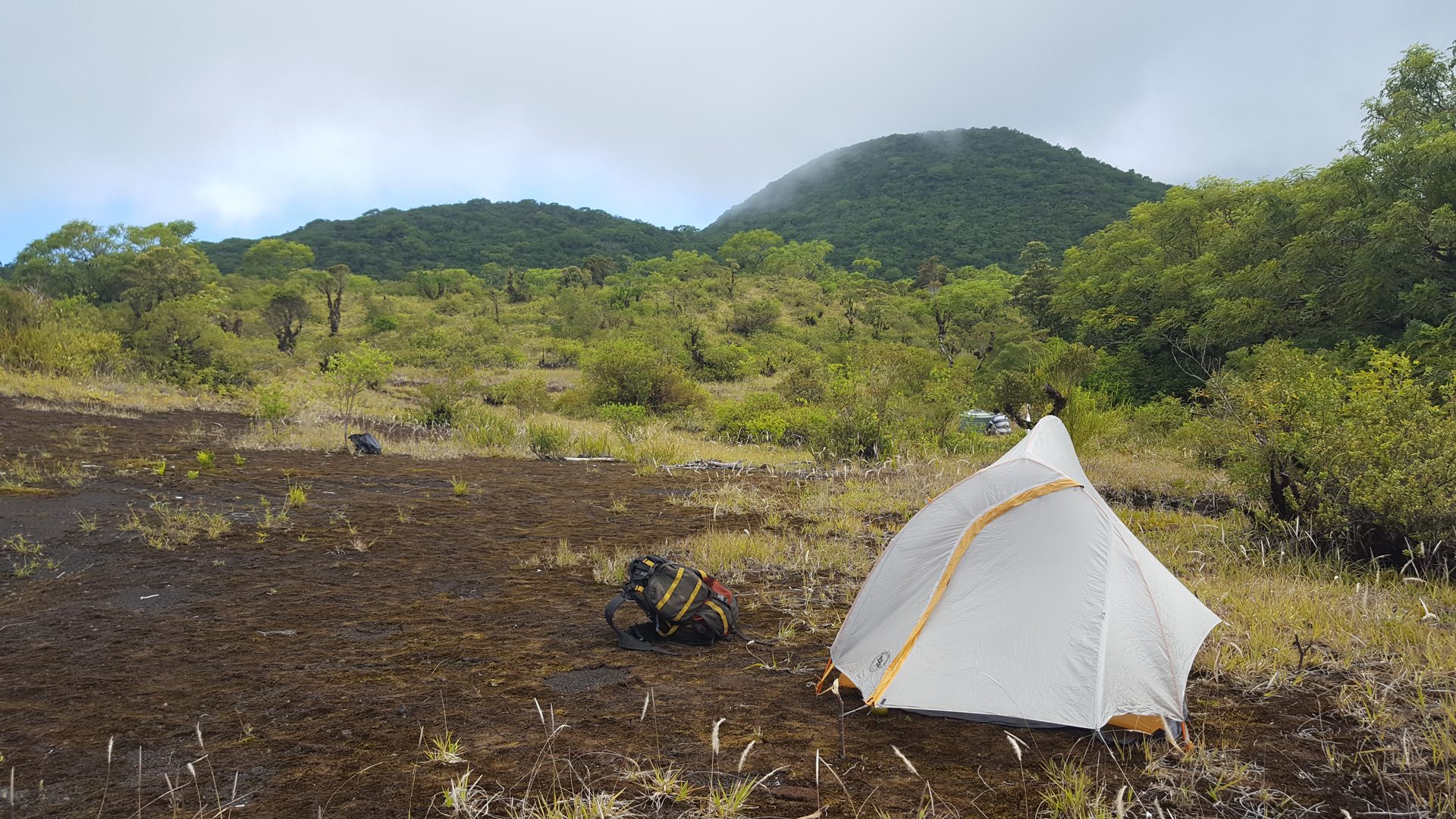 Mount Silisili Volcano Trekking Guide: Conquer Samoa’s Highest Peak on Savai’i Island
