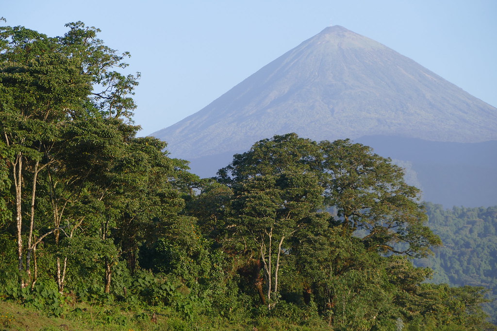 Mount Rwenzori Trekking Guide: Conquer Uganda’s Majestic Mountains of the Moon