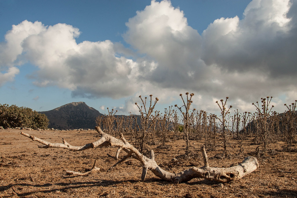 Nisyros volcano trek - Nisyros island, Greece || Νίσυρος, Ελλάδα