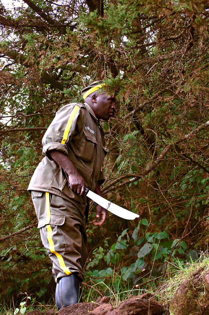 Mount Gahinga Volcano Trekking Guide: Explore Rwanda’s Dormant Virunga Volcano with Bamboo Forests