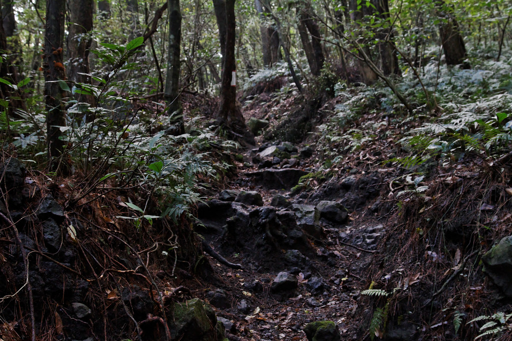 Mount Kaimon volcano trek - Kaimon-dake trail