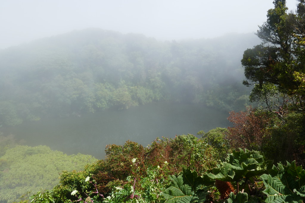 Barva Volcano volcano trek - 2023--19 February--Hike at Volcan Barva with Esteban near San José, Costa Rica