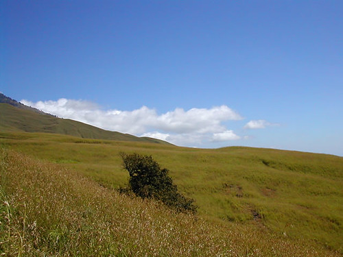Mount Rinjani volcano trek - Beautiful view, first step from Sembalun Lawang trekking mount Rinjani 3726 meter Lombok island Indonesia