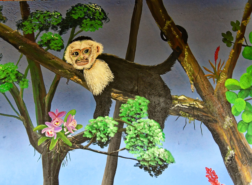 Tenorio Volcano volcano trek - CR - TENORIO Volcano National Park (33)