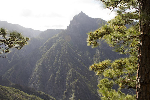 La Palma Caldera de Taburiente volcano trek - Caldera de Taburiente, La Palma